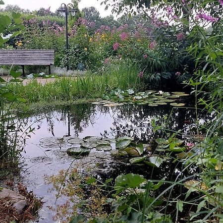 Vakantiehuisje Achter Odiliapeel エクステリア 写真